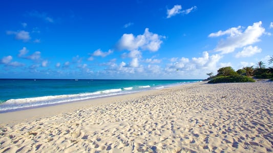 Silver-Sands-Beach-Barbados.jpg