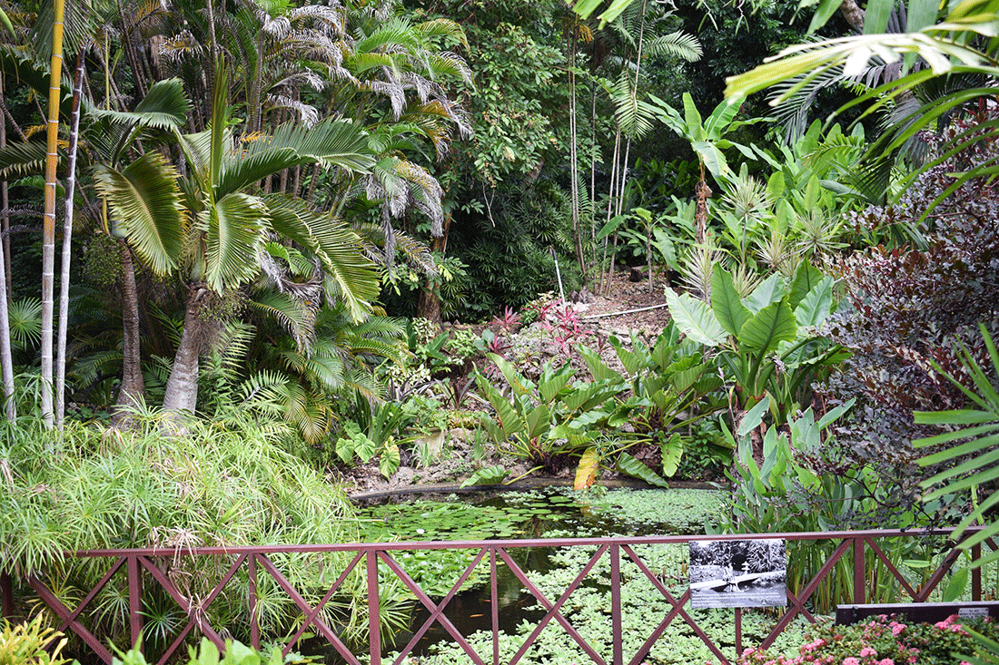 Enchanting Gardens of Barbados